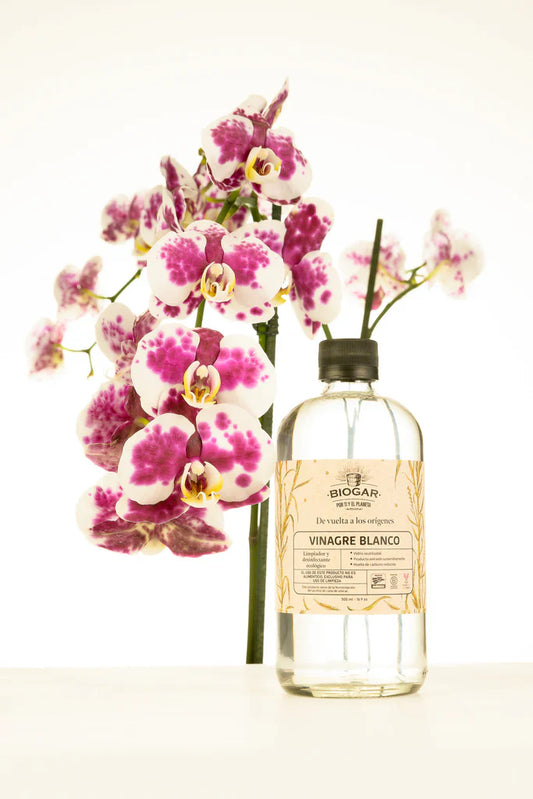 Vinagre Blanco